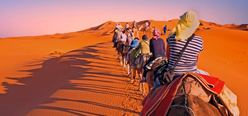 Camel caravan going through the sand dunes in the Sahara Desert, Morocco.