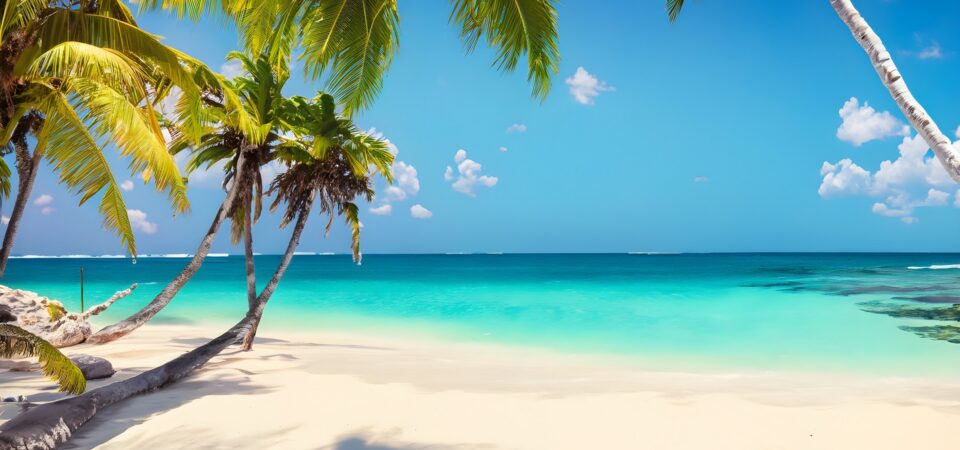 Sunny tropical Caribbean beach with palm trees and turquoise water, caribbean island vacation, hot summer day, beach with coconut trees